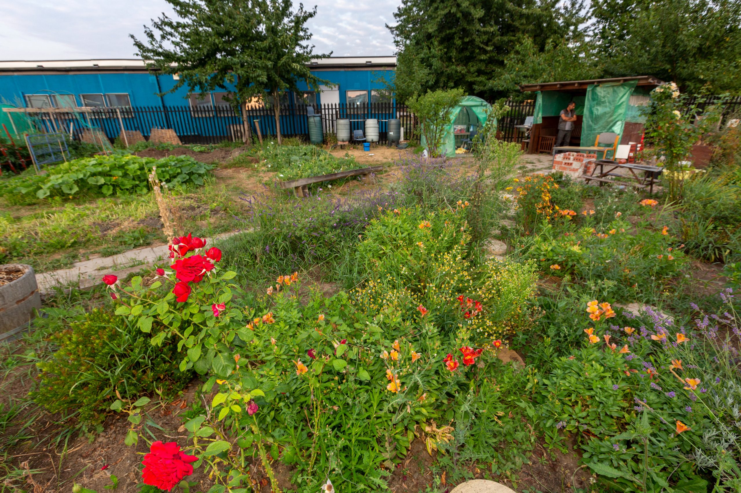 London City Airport Community Fund awards £5,000 for community gardening in Thames Ward