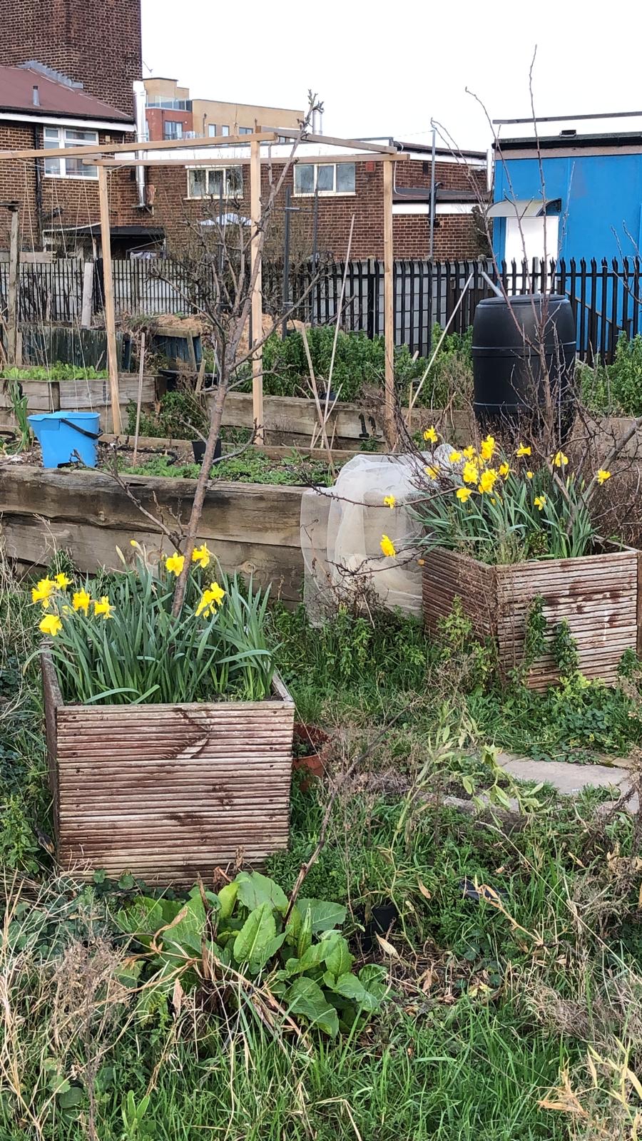 Installation of tap for Thames View Community Garden with TWCP support