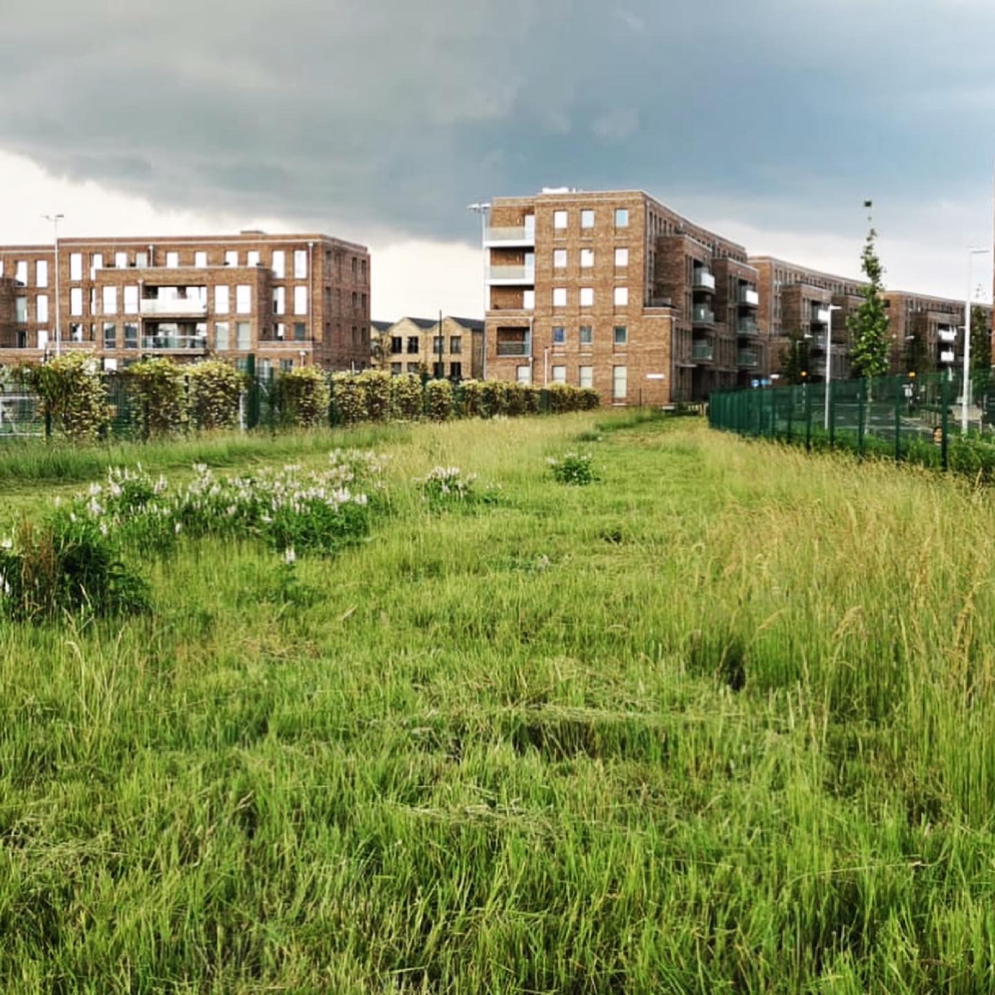 Barking Food Forest Update: Vegetation Cut, and GPR Scan Complete!