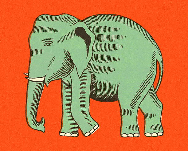 Director blog December 2021 – Of Elephants and Eggshells