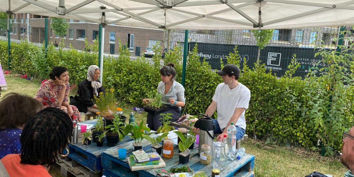 Wellbeing Navigators Comes to an End