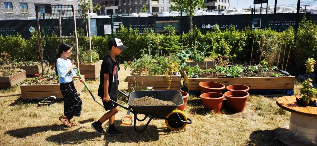 Deputy CEO Blog: Barking Food Forest: Sowing seeds of change 